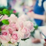 5 Fascinating Facts About Blooms that Will Amaze You